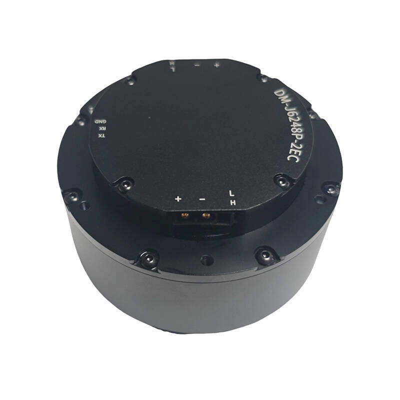 DAMIAO DM-J6248P-2EC Caja de E - Robot Arm Motor reseña y precio