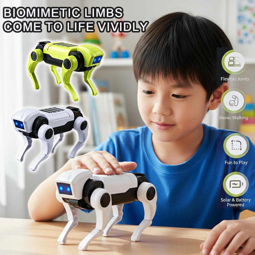 1/2 Piezas Robot RC, Juguete d - Science Project Robot reseña y precio